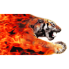 Ділонг