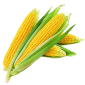Кукуруза