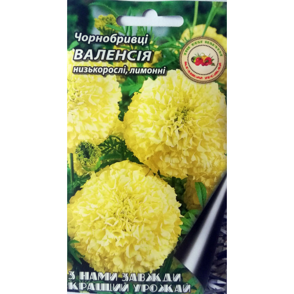 Чорнобривці Валенсія низькорослі 0.5 г 18361 фото 1