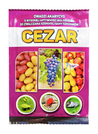 Cezar 5 ml (Польща) 61221 фото
