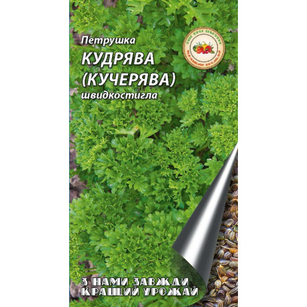 Петрушка Кучерява 2 г 5182 фото 1