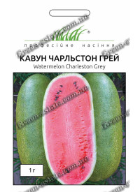 Арбуз Чарльстон Грей овальный 1 г