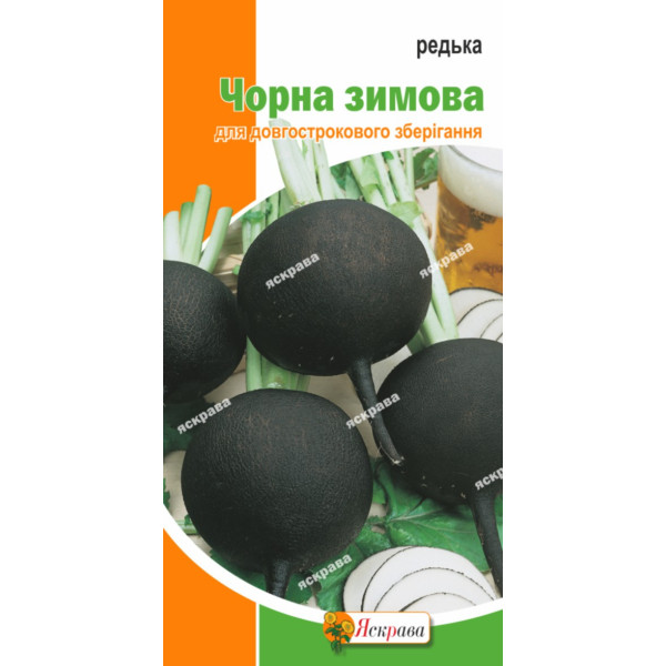 Редька Чорна зимова кругла 2г 3011 фото 1