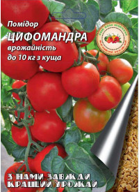 Помидор Цифомандра (Томатное дерево) 0.1 г 8075 фото