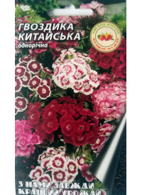 Гвоздика Китайська 0.1 г