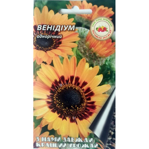 Венідіум 0.1 г 28251 фото 1