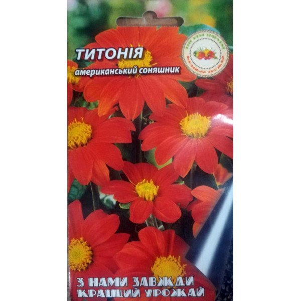 Американський соняшник Титонія 0.2 г 29811 фото 1