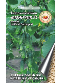 Огурец Мизинчик F1 2 г (самоопыляемый)