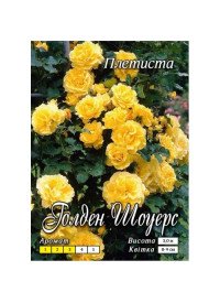 Троянда плетиста клас Голден Шоуерс АА ПРЕМІУМ (6 шт) 5729 фото
