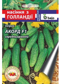 Семена огурца Акорд F1 10 шт.