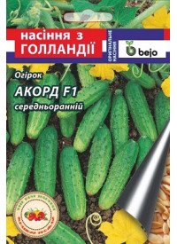 Насіння огірка Акорд F1 10 шт.