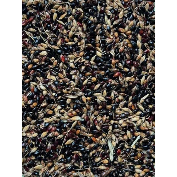 Суданка рябая (25кг/меш) 8293 фото 1