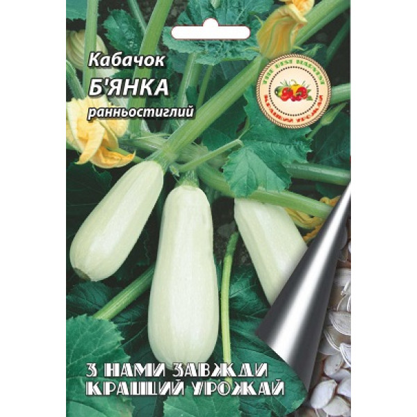 Кабачок Б’янка 20 г 40127 фото 1
