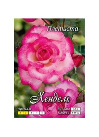 Троянда витка Хендель клас АА(6 шт) "Яскрава"