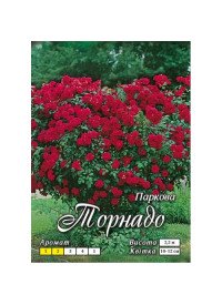 Троянда парк.Торнадо клас АА (8 шт)
