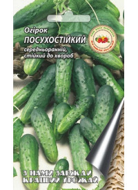 Огурец Посухостойкий, 4 г