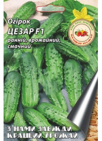 Огурец Цезарь F1 2 г