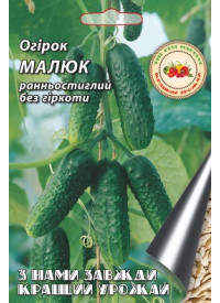 Огірок Малюк 0,5 г Огірок Малюк 0,5 г
