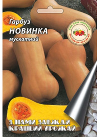 Гарбуз Новинка (мускатний)