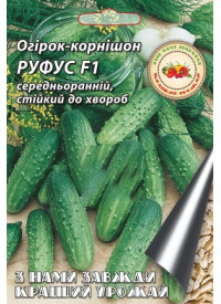 Огірок Руфус F1 2 г