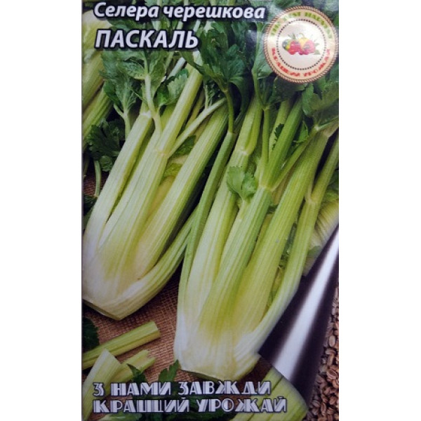 Селера черешкова Паскаль 0,5 г 30735 фото 1