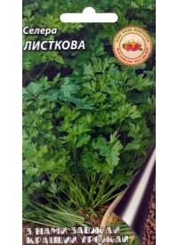 Селера листова 0,5 г 30736 фото