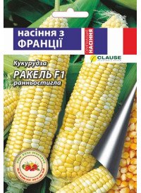 Кукурудза Ракель F1 20шт Clause (Франція) (Кращий урожай) (5шт/уп) 39494 фото