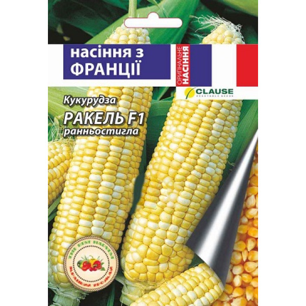 Кукурудза Ракель F1 20шт  Clause (Франція) (Кращий урожай) (5шт/уп) 39494 фото 1