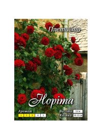 Троянда витка Норіта клас АА ПРЕМІУМ (6шт) "Яскрава"