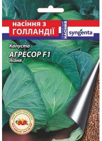 Семена капусты Агрессор F1 20 шт. 29980 фото