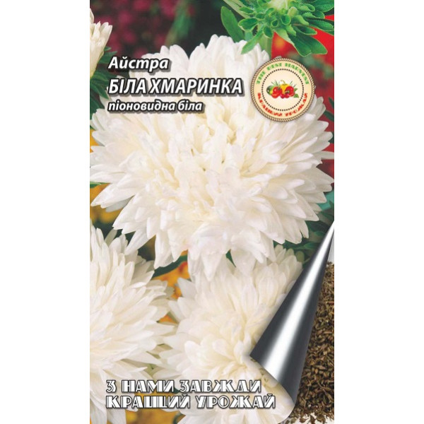 Айстра Біла хмаринка (піоновидна біла) 28852 фото 1