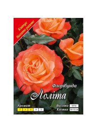 Троянда флорібунда Лоліта клас АА (6шт)