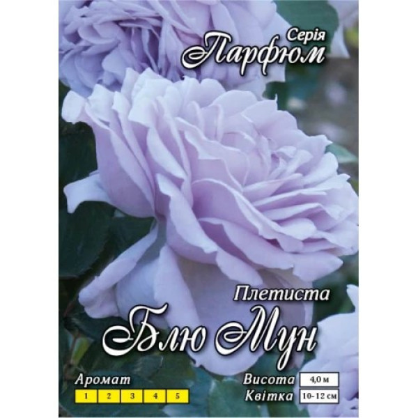 Плетистая роза голубая Blue Moon Блу Мун клас АА (6шт/ящ) 3500 фото 1