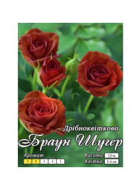Роза Браун Шугер класс АА ПРЕМИУМ (6 шт)