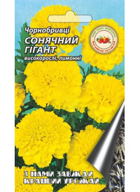 Бархатцы Сонячний гігант Б 1,5г (10шт/уп) 18465 фото