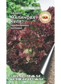 Салат Малиновий куля 0,5 г 18347 фото