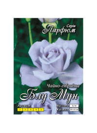 Троянда ч/г Блу Мун клас АА (6шт/ящ)