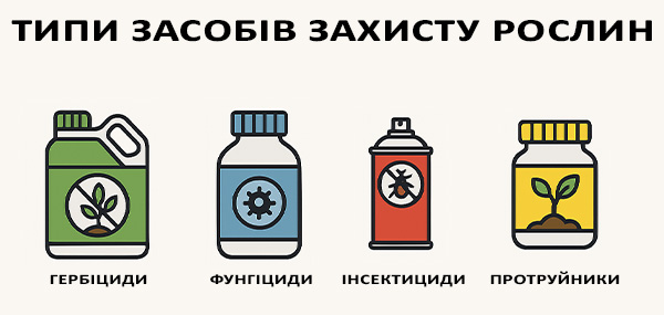 Типи засобів захисту рослин: гербіциди, фунгіциди, інсектициди, протруйники