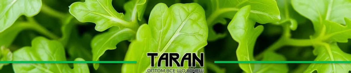 Насіння руколи